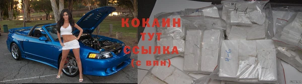 гашик Абаза