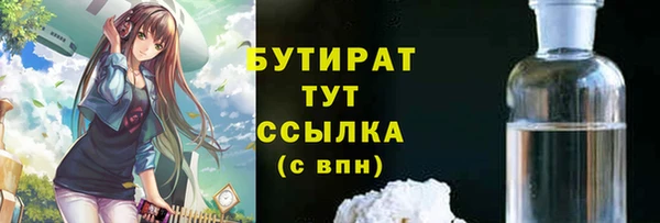 амф Гусев