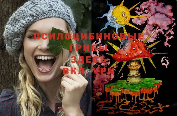 гашик Абаза