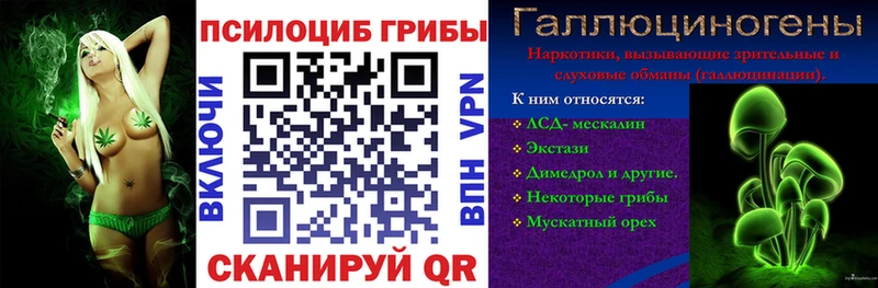 Псилоцибиновые грибы мухоморы  цены наркотик  Елизаветинская 